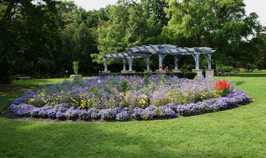 Pergola sur mesure en fer forgé : esthétique et robustesse